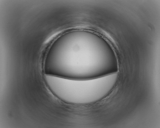 X0000114621456200910200951