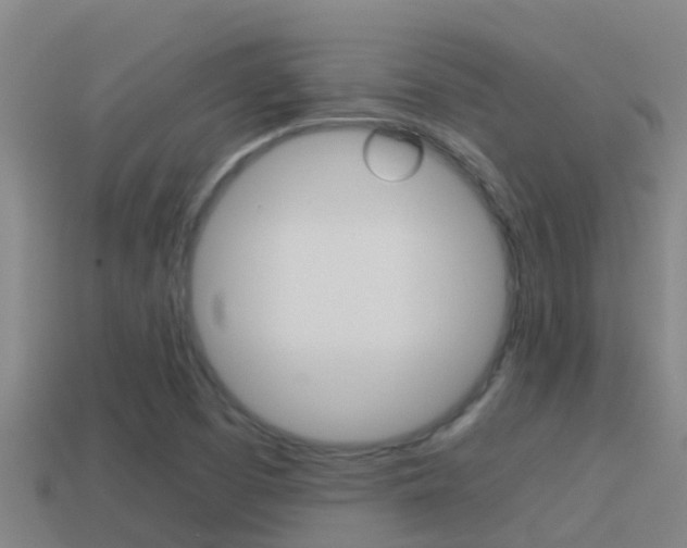 X0000114621457200910200951