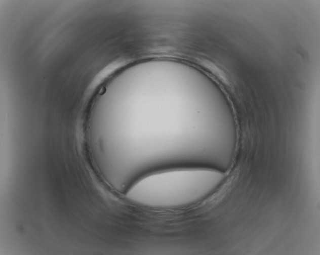 X0000114621458200910200951
