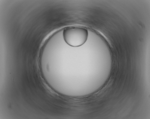 X0000114621460200910200951