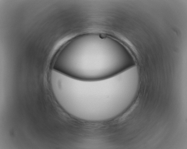 X0000114621461200910200951