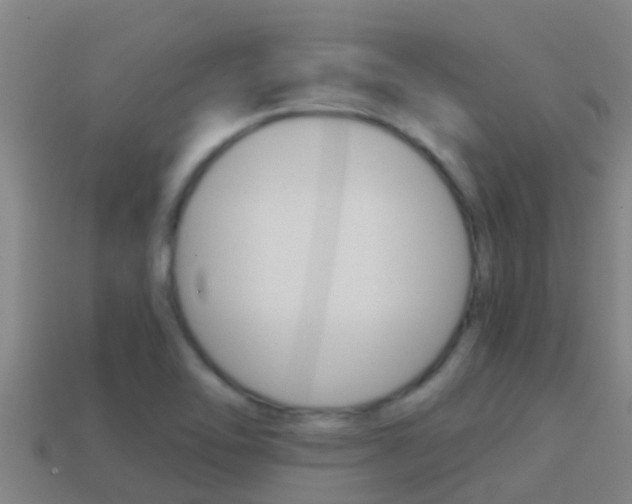 X0000114621462200910200951