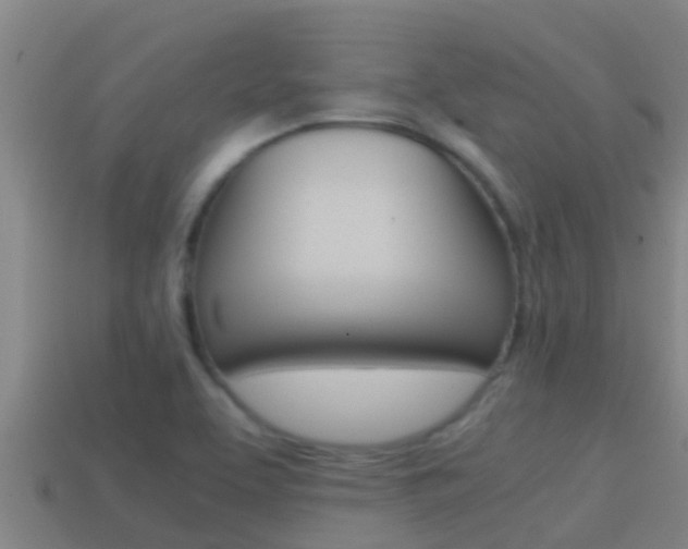 X0000114621463200910200951