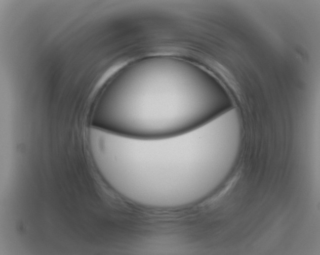 X0000114621465200910200951