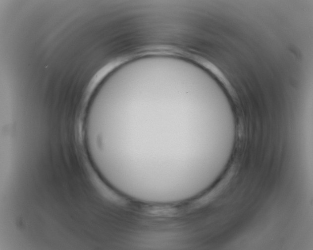 X0000114621466200910200951