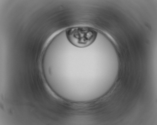 X0000114621468200910200951