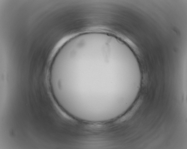 X0000114621470200910200951
