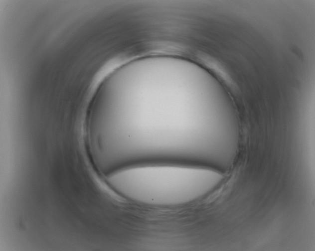 X0000114621471200910200951