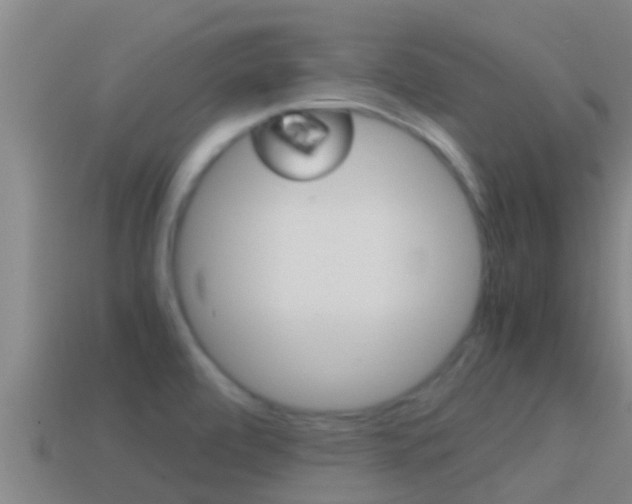 X0000114621472200910200951