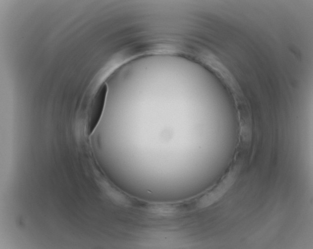 X0000114621473200910200951