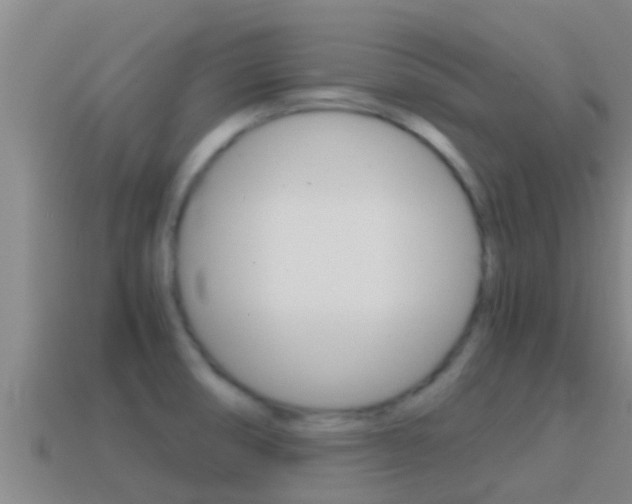 X0000114621474200910200951