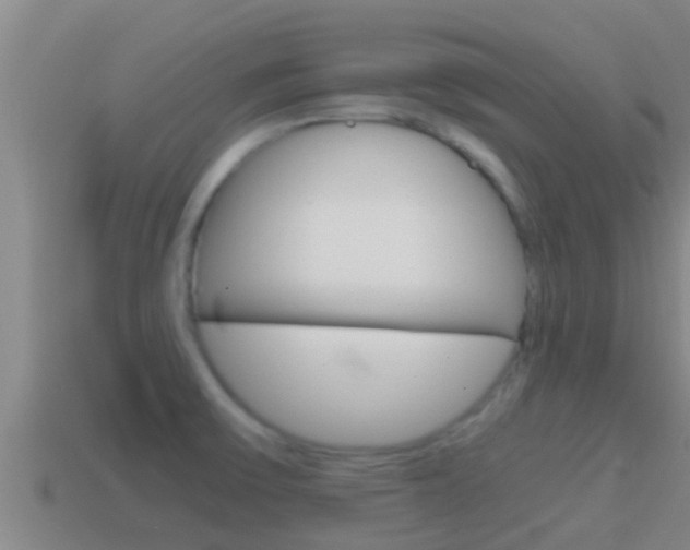 X0000114621475200910200951