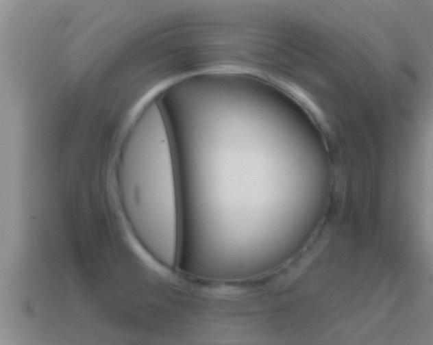 X0000114621476200910200951