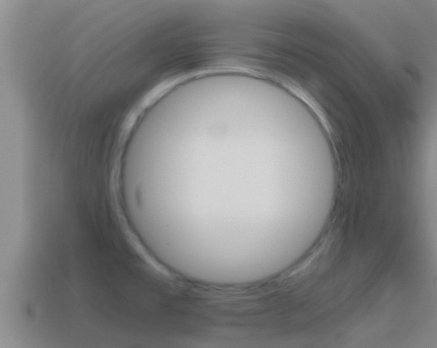 X0000114621477200910200951