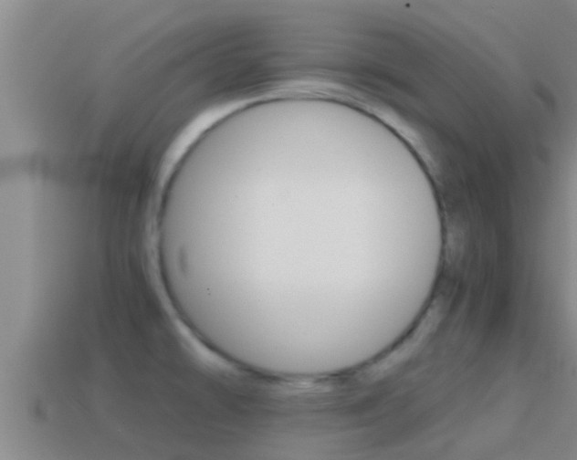 X0000114621478200910200951