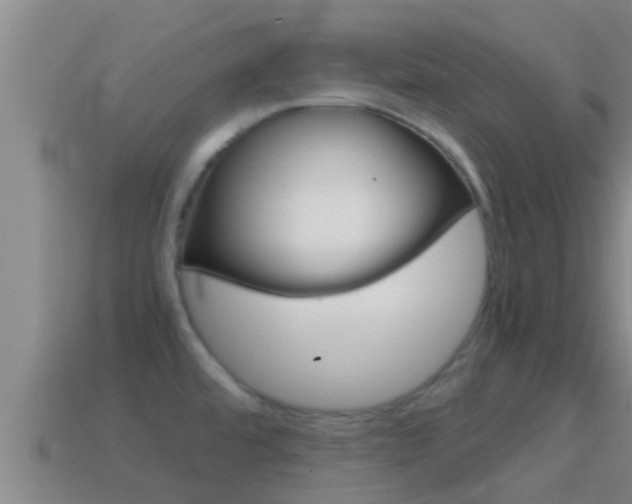 X0000114621480200910200951