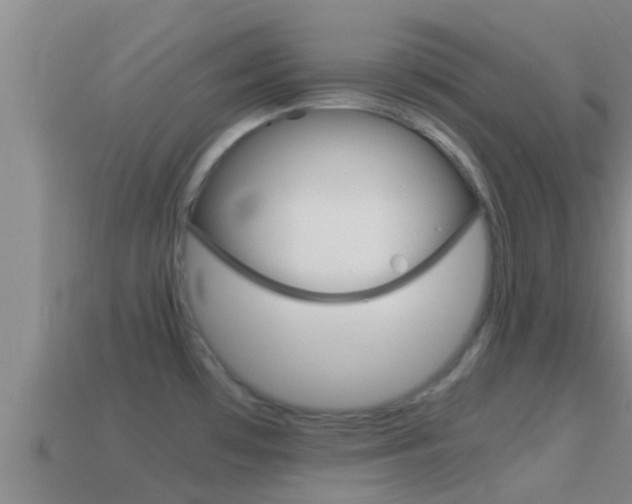 X0000114621481200910200951