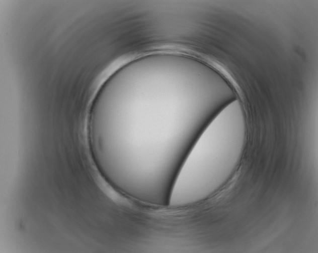 X0000114621482200910200951