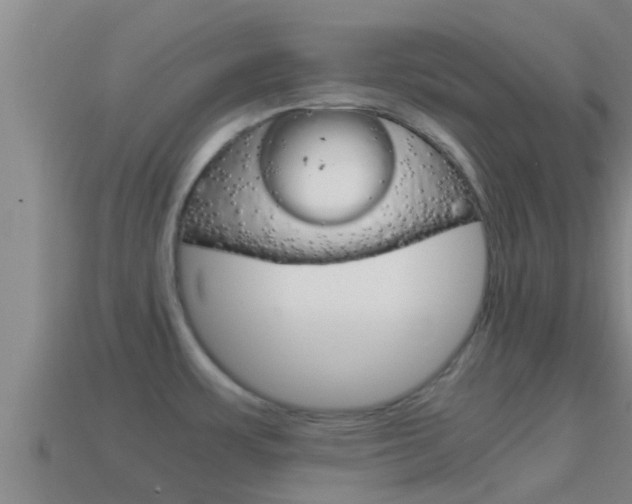 X0000114621483200910200951