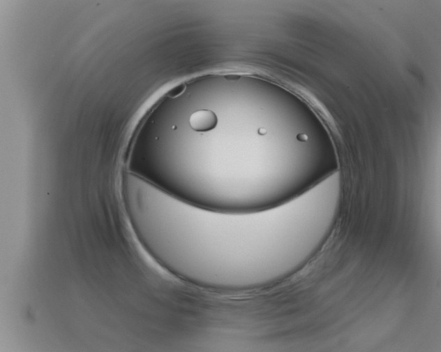 X0000114621484200910200951