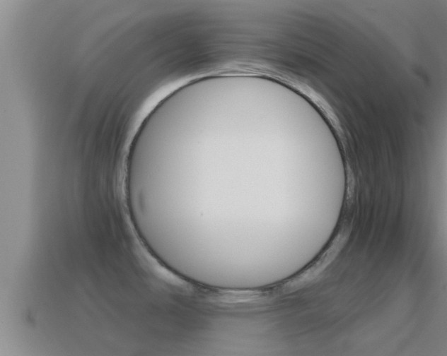 X0000114621486200910200951