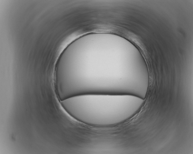 X0000114621487200910200951