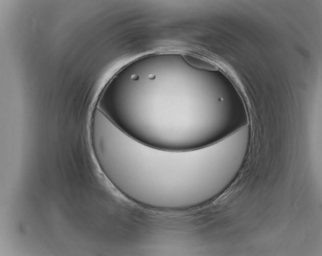 X0000114621488200910200951