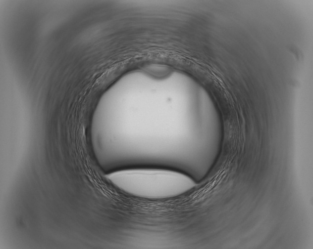 X0000114621489200910200950