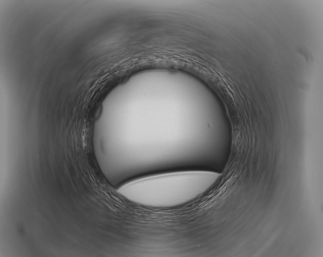 X0000114621490200910200950