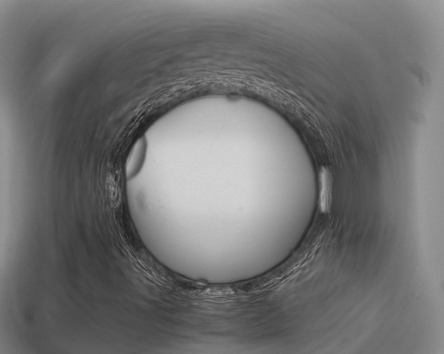 X0000114621491200910200950