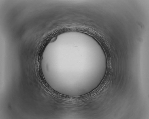 X0000114621493200910200950