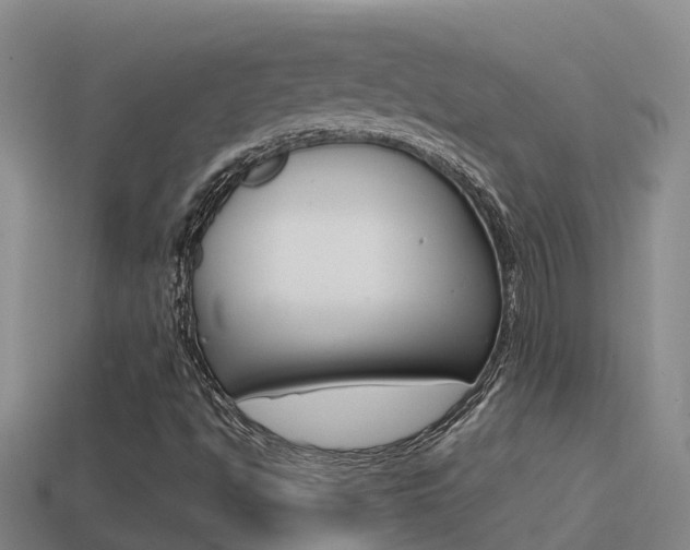 X0000114621494200910200950