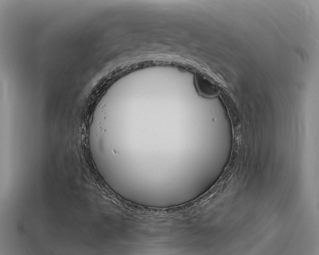 X0000114621495200910200950