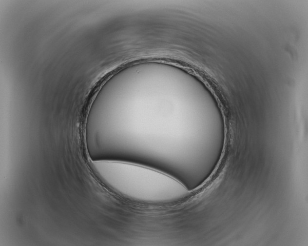 X0000114621497200910200951