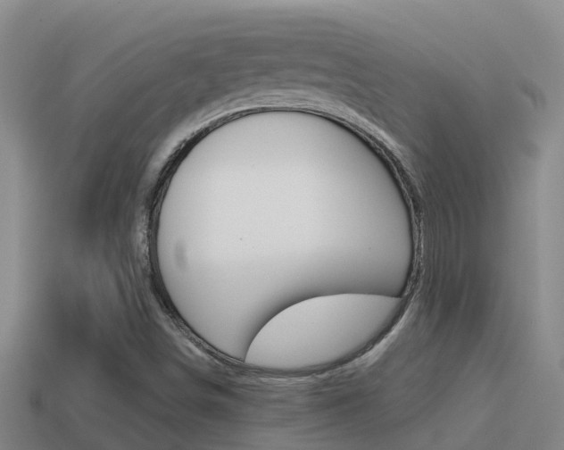 X0000114621498200910200951
