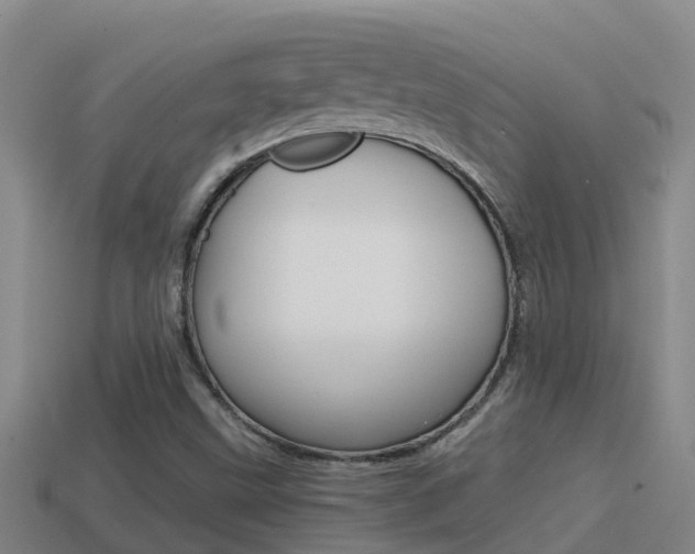 X0000114621499200910200951