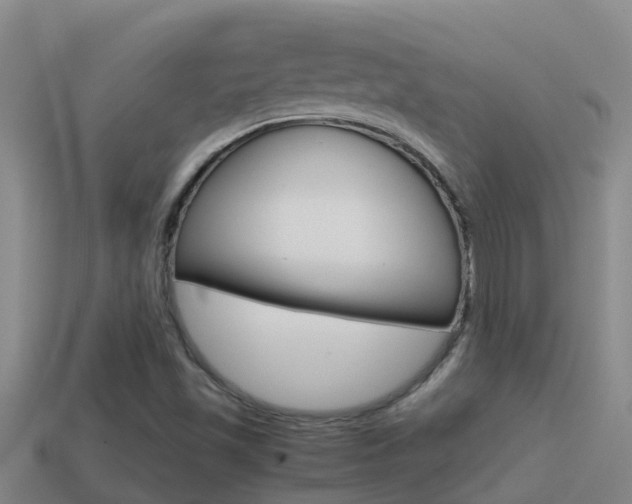 X0000114621501200910200951