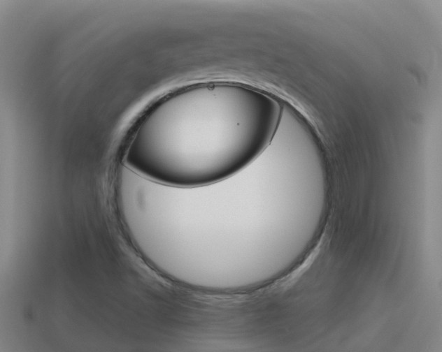 X0000114621502200910200951