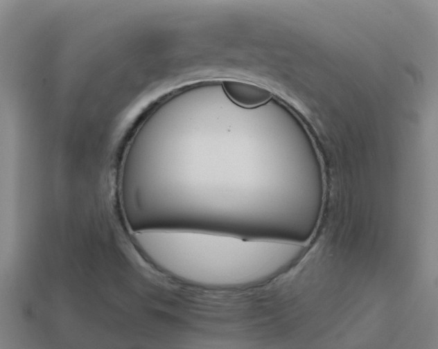 X0000114621503200910200951