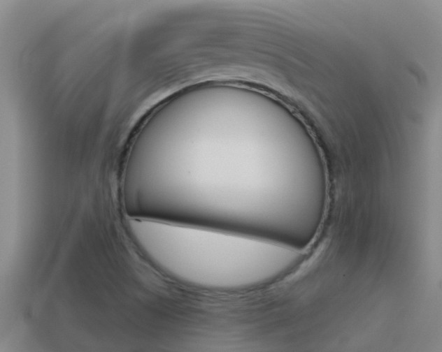 X0000114621505200910200951