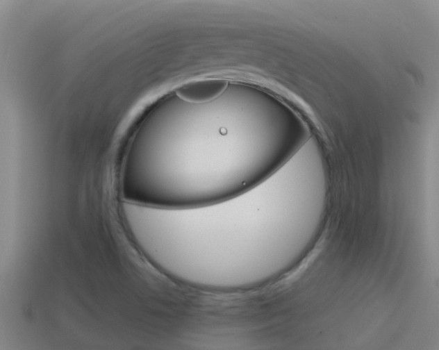 X0000114621506200910200951