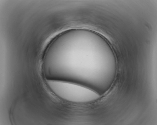 X0000114621507200910200951