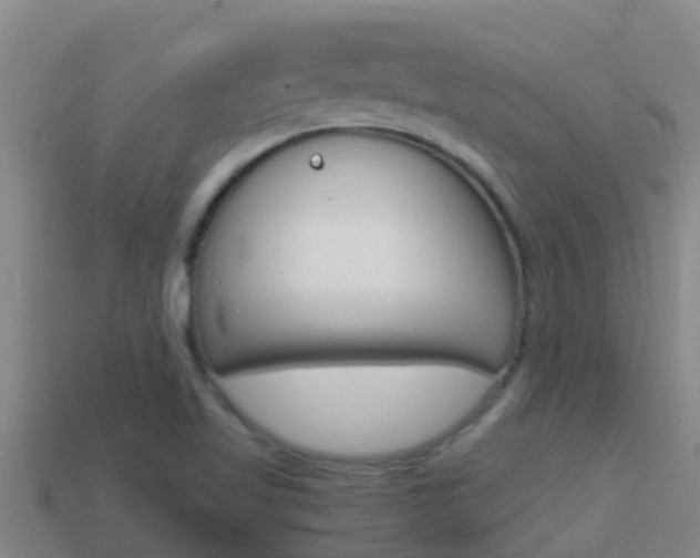 X0000114621509200910200951