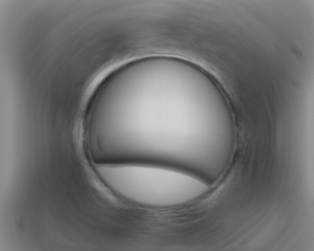 X0000114621511200910200951