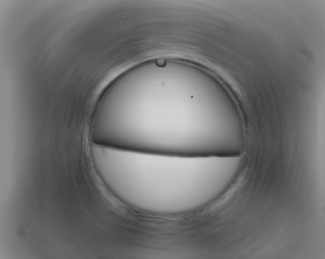 X0000114621513200910200951