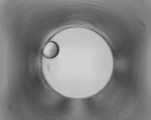 X0000114621514200910200951