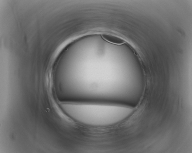 X0000114621515200910200951