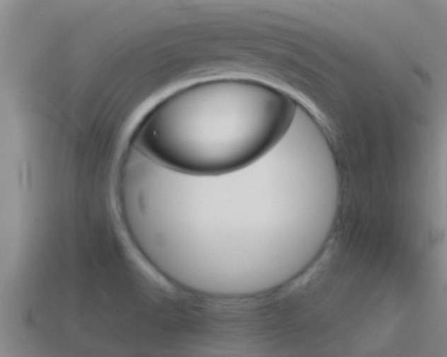 X0000114621518200910200951