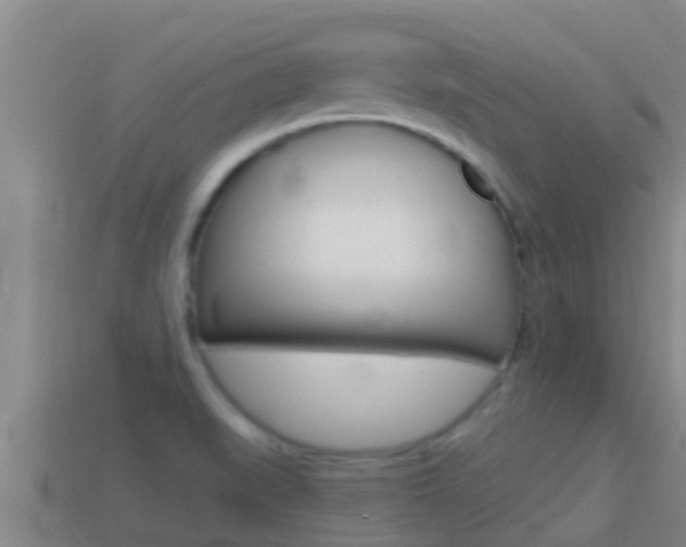 X0000114621519200910200951