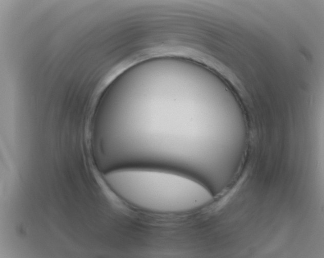 X0000114621521200910200951